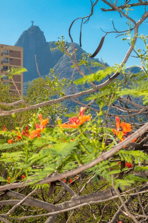 Rio Nature Hostel Rio de Janeiro Cameră foto